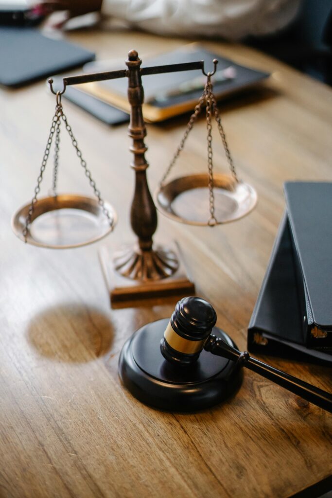 Litigation By Thomas Kings
